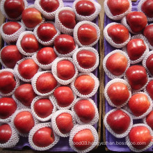 Chinese Red Delicious Apple 2014 Crop